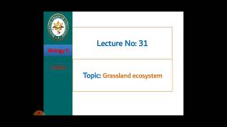 Grassland ecosystem [upl. by Mauretta]