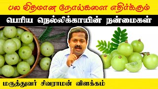 நெல்லிக்காயின் நன்மைகள் Dr Sivaraman speech in Tamil  Gooseberry benefits in Tamil  Tamil speech [upl. by Emiaj]