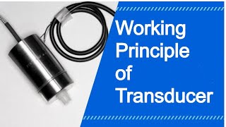 Working Principle of Transducer  Instrumentation Technician [upl. by Romanas]