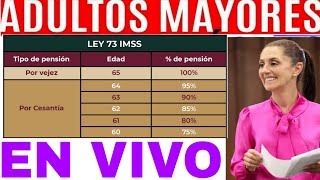 AUMENTO 100 IMSS ISSSTE PENSIÓN ADULTO MAYOR 2025 INPC INEGI SALARIO VS UMAS [upl. by Fraser]