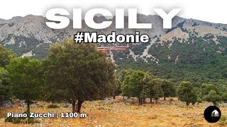 Italy 🇮🇹 Sicily  Madonie NP  Piano Zucchi 1100 m  LOCALITY [upl. by Ydiarf]