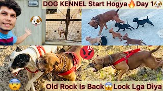 Sb Dogs Ko Kennel M Band Kardiya🐶Dog Kennel Start😍 Rock N Lock Lga Liya😨Pitbull Ko [upl. by Tecla870]