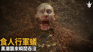 食人行軍蟻，黑潮襲來瞬間吞沒一切生物，二戰期間德國一支1800人的軍隊竟被行軍蟻滅團，只剩一具具白骨。 [upl. by Ohaus]