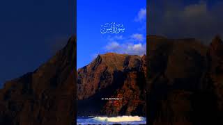 Surah YaSin  tausifwrites surahyaseen dearlifeline [upl. by Loesceke]