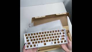 Customized HW61mini keyboard kit ISO 60 wireless RGB Bluetooth mechanical keyboard 61 keys [upl. by Rabiah]