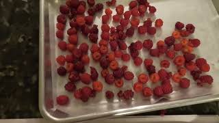 How To Make WIneberry Wine [upl. by Egni399]