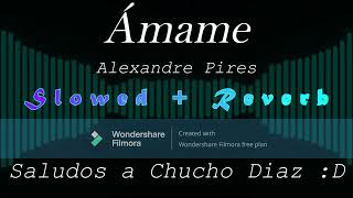 Ámame  Alexandre Pires Slowed  Reverb [upl. by Nnylarej871]