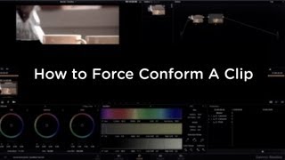 DaVinci Resolve 9  How to Force Conform a Clip [upl. by Kassab355]