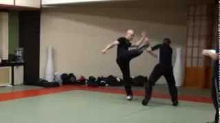 Krav Maga Worldwide Black Belt Exam [upl. by Audras]