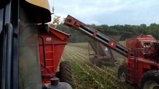 Picking Seed Corn 2010 [upl. by Beverley]