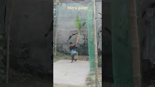 Mera gaonka cricketshort shorts viralvideo funny vlog mast viral short s [upl. by Nylyak]