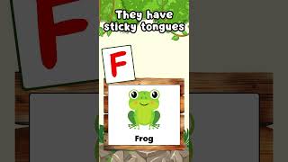 F is for frog  Learn ABCs with Jungle Animals [upl. by Llerrej901]