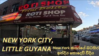 New York City Little Guyana [upl. by Grizel]