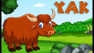 Yak Song for Kids  Learn all about yaks  Animal Songs for Kids animalsong [upl. by Kati]