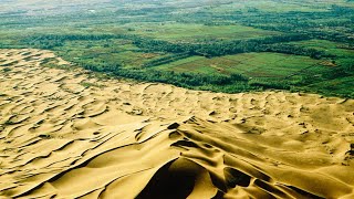 How China is Reforesting the Gobi Desert into Forest  The Great Green Wall [upl. by Annahoj440]