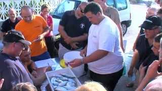 Maraton Provincial de pesca CP Almazora [upl. by Adnoek]