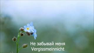 Eisbrecher  Vergissmeinnicht HD Lyrics Текст песни и перевод [upl. by Jacquelynn933]