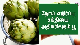 கூனைப்பூவின் மருத்துவ பயன்கள்  Artichoke benefits in Tamil [upl. by Shifrah11]