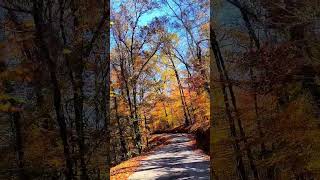 Appalachian back road ridin appalachian appalachia easttennessee tennessee fall autumn [upl. by Burn]