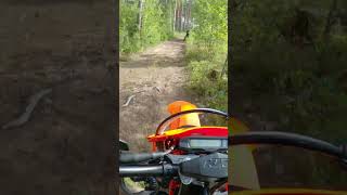 These trails are SICK Follow link to watch the full video 👆 enduro motocross dirtbike [upl. by Karola]