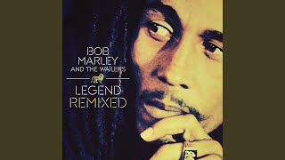 Buffalo Soldier Stephen Marley Remix [upl. by Einnej191]