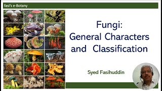 Fungi General characters and Classification [upl. by Berkley878]