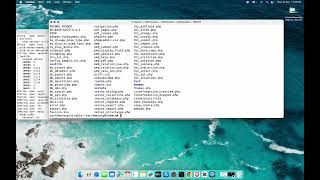 Metasploitable2 on MacOS Port 1099 with Java RMI Exploit  A Deep Dive into Metasploit [upl. by Willett]