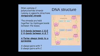 213 Nucleotides and Nucleic Acids d iThe structure of DNA [upl. by Oiramal]