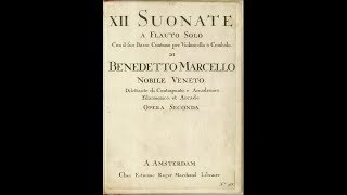 Benedetto Marcello  recorder sonata Op2 n11 [upl. by Aimo]