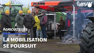 Agriculteurs la Coordination rurale bloque le port de Bordeaux  AFP Images [upl. by Efal]