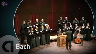 JS Bach Motet BWV 225 Singet dem Herrn  Vocalconsort Berlin [upl. by Lisetta]