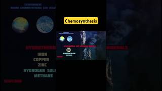 How Chemosynthesis Works and Why It Matters [upl. by Allesor]