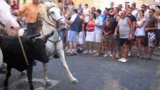 taureaux lachés dans les rues dEyguières [upl. by Leile75]