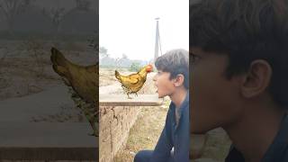 Eating hen duck and pigeon shorts viralvideos trending [upl. by Odlanra]