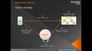 3 Complete Sqoop Training  How Sqoop Works [upl. by Isnam]