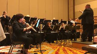 Nabucco Overture  NFA 2018 Professional Flute Choir [upl. by Fidelio282]