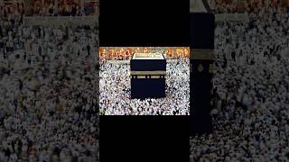 Power Of Islam🥰 shorts youtubeshorts islam islamicvideo viralvideo [upl. by Wivinah]