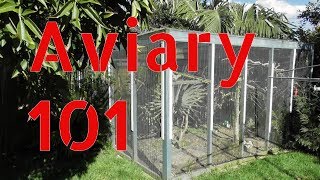 Outdoor Aviary 101  Tips on Building a Large Aviary Outdoors [upl. by Humpage]