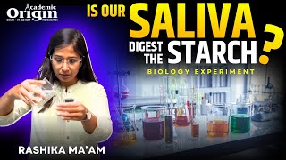 Is our saliva digest the starch  Biology Experiment  By Rashika Maam [upl. by Miche]