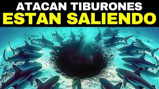 Científicos Afirman Que Algo ENORME Está Cazando Tiburones Blancos Y Están Preocupados [upl. by Guillermo918]