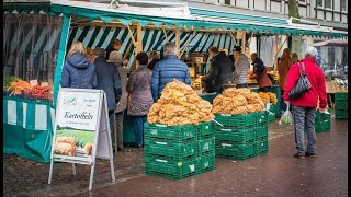 Producción de papa en Holanda  Alimentos y Regiones [upl. by Iatnohs]