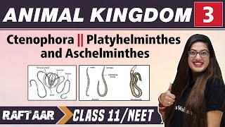 Animal Kingdom 03  Ctenophora II Platyhelminthes and Aschelminthes  Class 11NEET  RAFTAAR [upl. by Rora798]