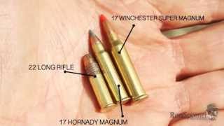 Worlds Most Powerful Rimfire  17 Winchester Super Magnum [upl. by Ayahsey]