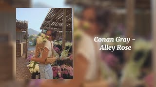 Alley Rose  Conan Gray Sped Up [upl. by Atnoled]