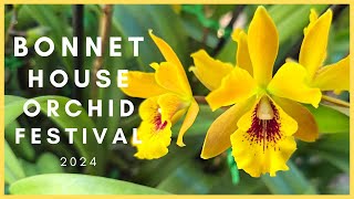 Bonnet House 15th Annual International Orchid Festival 2024 This is what we got [upl. by Adelaja549]