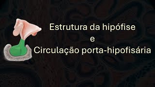 Hipófise e circulação portahipofisária [upl. by Renrag]