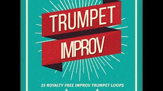 Trumpet Improv  Free TrumpetSample Pack  120mb [upl. by Clay]