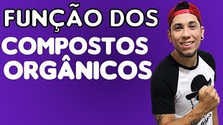 Função do Carboidrato Lipídio Proteína e da Vitamina │Aula 4  Biologia com Patrick Gomes [upl. by Levinson]