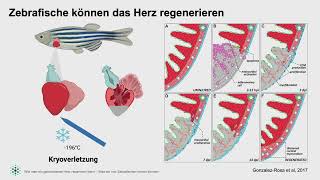 Arica Beisaw  Wie man ein gebrochenes Herz repariert  3624 [upl. by Peednam]