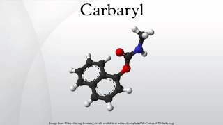 Carbaryl [upl. by Aniroc112]